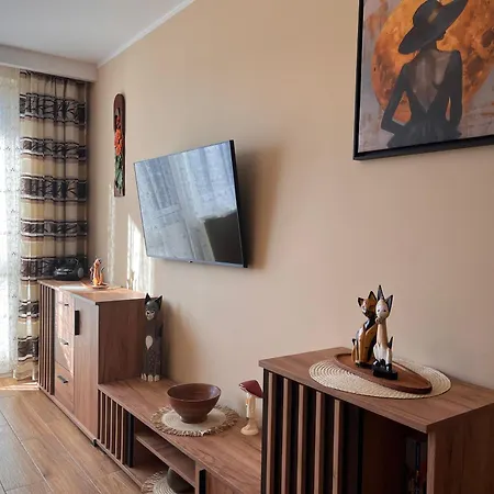 Bb Ii Zrodlana דירה